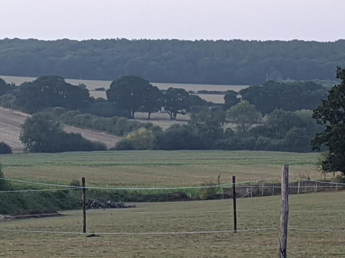 Foxhill Lodges Canterbury Eksteriør billede