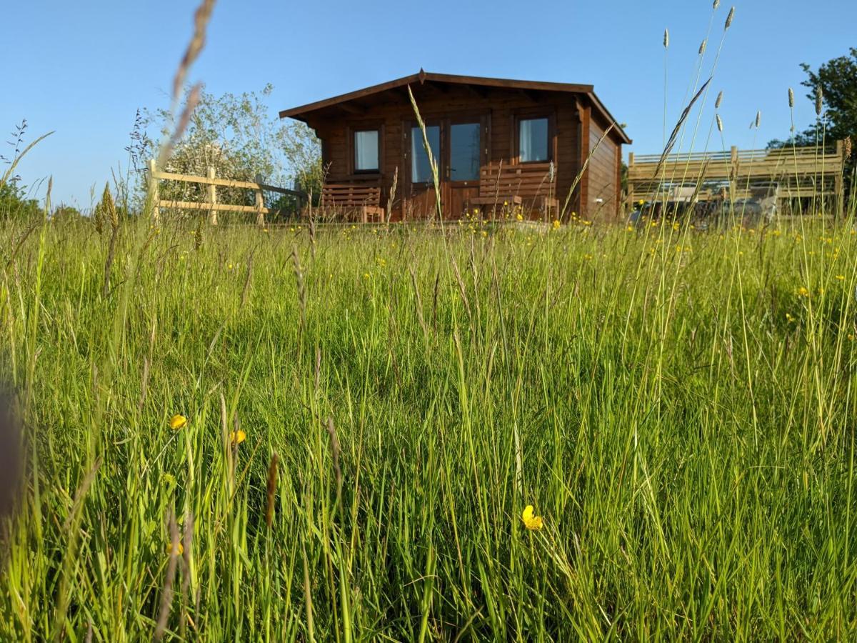 Foxhill Lodges Canterbury Eksteriør billede